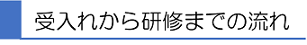 受入れから研修までの流れ
